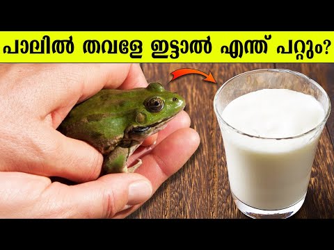 ജീവനുള്ള തവളയെ പാലിൽ ഇട്ടു വച്ചാൽ എന്ത് സംഭവിക്കും?? Random Facts Part 29