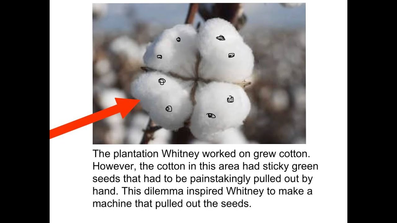 The Invention of the Cotton Gin GT YouTube