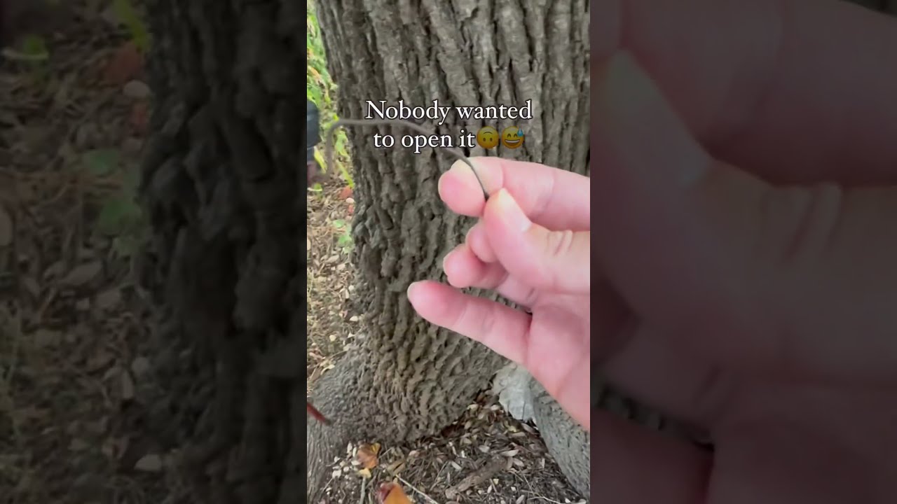 This Cache Owner Marked It As A Medium Everyone Was Disappointed And Didn T Care To See 