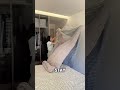 Blanket Cover Teamwork!