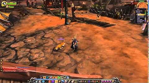 How to show pets on minimap in WOW