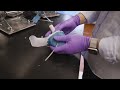 Patient-specific, 3D-printed, soft-robotic hearts