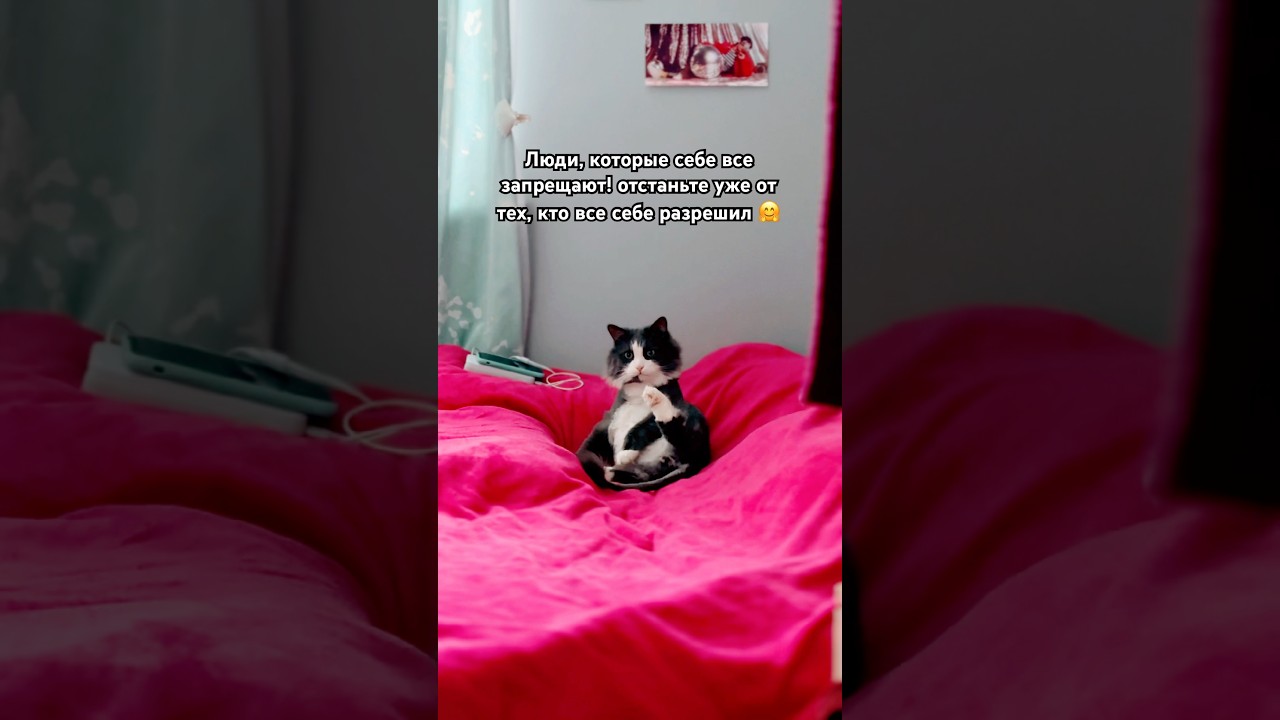 Подпишись💖2й канал 