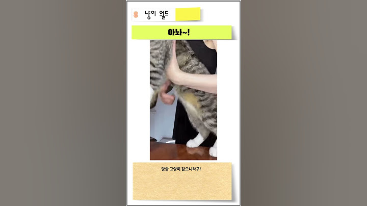 이렇게 귀여우면 어쩌자는거? #humor