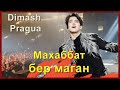 📣 Концерт Димаша в Праге – Европа поёт песню Махаббат бер маған 16.04.2022 год  ✯SUB✯