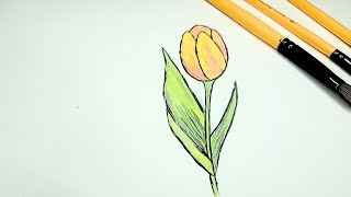 Painting a tulip flower step by step tutorial | sketching tricks and tips | sketching for beginners