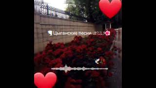 новая цыганские песни любовь🥀🕊🤍