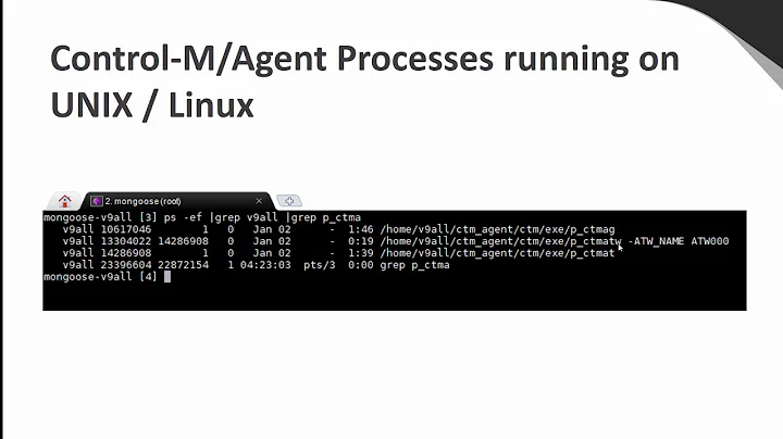 How to clean up or initialize the Control-M Agent so it would start without any previous history?
