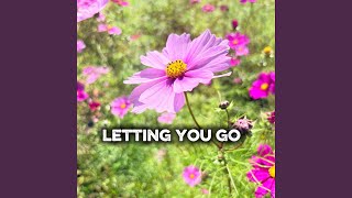 Letting You Go