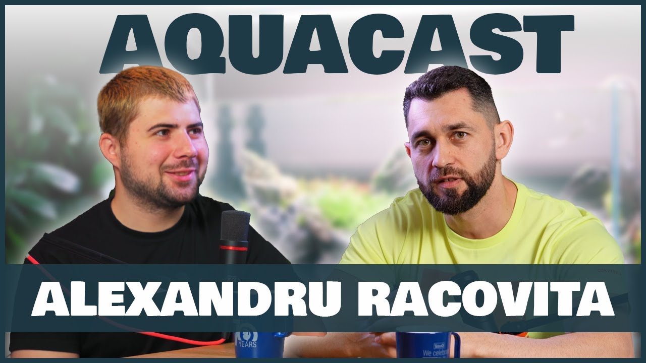 Alexandru Racoviță: 