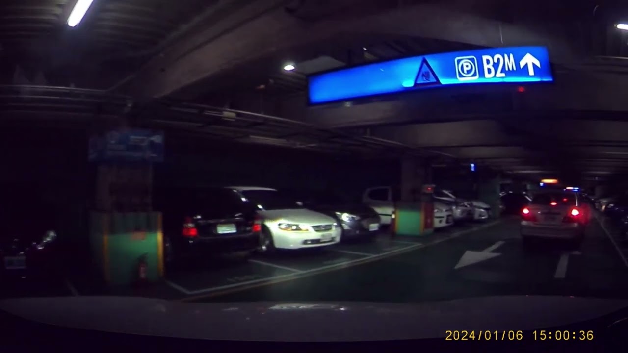 高雄統一夢時代購物中心地下停車場 (Horse from 大嘉視角)