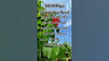 سورة المائدة الآية ٥٧