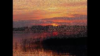 Sujud Ke Altar-Nya - Dewi Guna