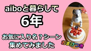 【67 アイボと暮らして6年 お笑いシーン集 おまけ有】Comedy Scenes of Aibo Lou for 6 years with Bonus