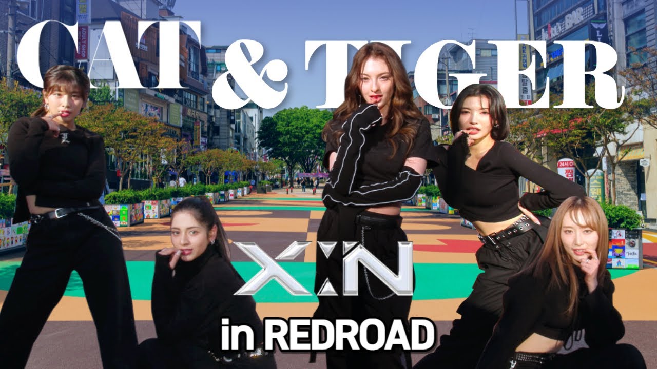 X:IN(엑신) - Cat & tiger🐈🐅 in REDROAD #MV  #홍대 #레드로드