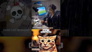 OPEN THIS VIDEO & CAPTION IT 😺 #cat |4K SHORTS | OHIO CAT BOMBASTIC