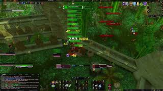 WoW Classic Tiger Boss Solo - Prot pala 103% avoidance passive