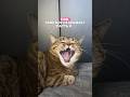 ЭТО СУПЕРНАХОДКА😻