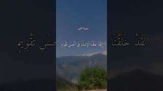 Hastag☝️#isalam# islamic#islqmicreminders#youtube#explorereels Related hastags☝️#quran#quranverses