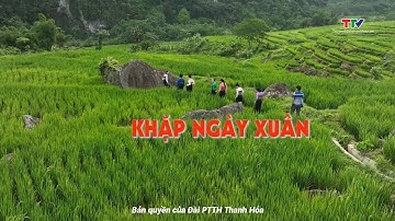 Sắc màu các dân tộc xứ Thanh ngày 29/01/2025