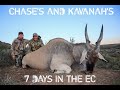 Chase&#39;s and Kavanah&#39;s 7 days in the EC |SUN AFRICA SAFARIS