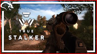 TRUE STALKER EL MEJOR SURVIVAL PARA TODOS