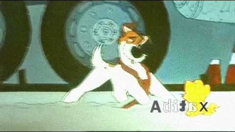 1985 - Animash - Dedicated to my 57 Suscribers