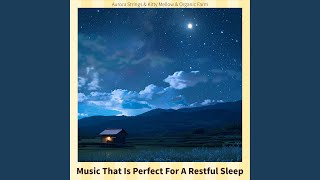 Moonlit Tranquility Harmony (Key E Ver.)