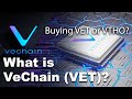 What is VeChain (VET) &amp; VeThor (VTHO)? | Should you buy VeChain (VET) or VeThor (VTHO)?