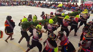 Video thumbnail of "Danza Viga Huantuy - Festival de Danzas Mariscal Cáceres 2018, "4to F""