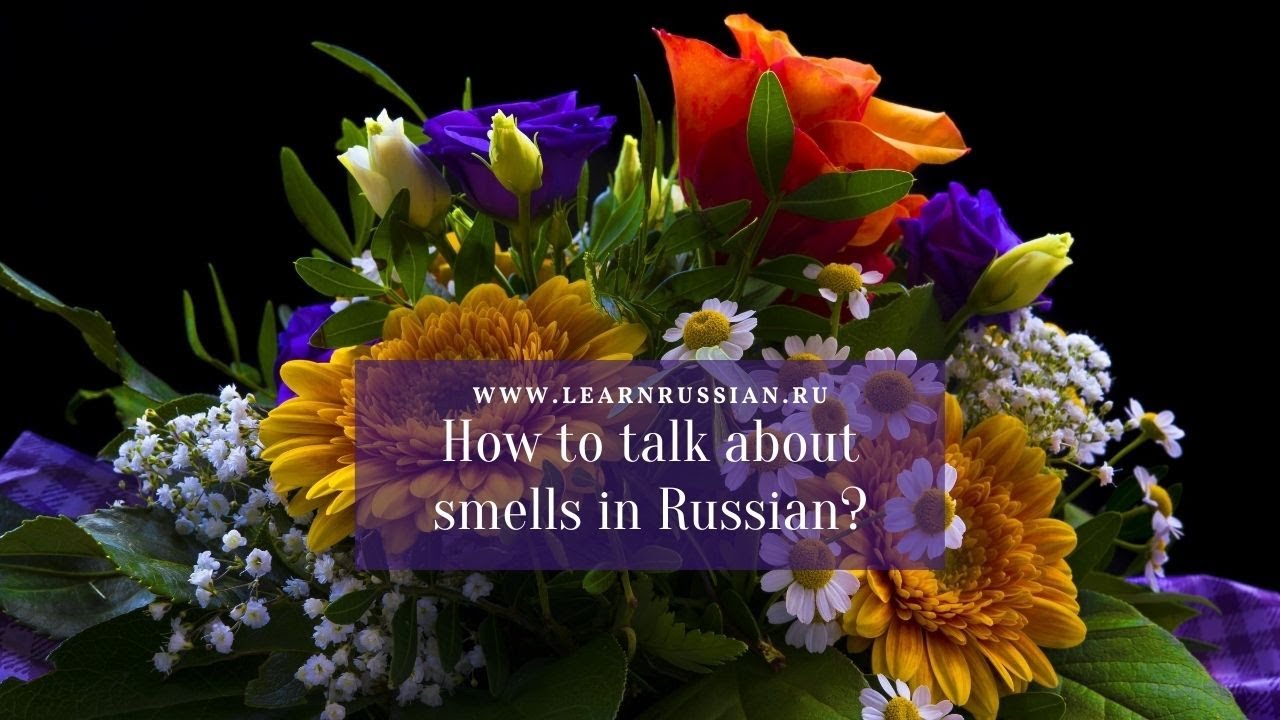 How to talk about the smell in Russian (some Russian verbs and