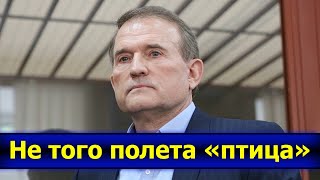 Ожидания не оправдались? Что может повлиять на встречу Путина и Зеленского?