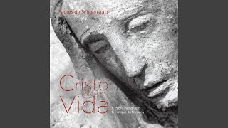 Video thumbnail of "P. Enrique da Fonseca - Vayan Sin Miedo a Servir"