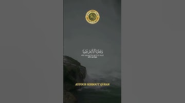 سورة القمر الآية 9-17 تلاوة شيخ الدوسري