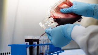 How clinical laboratory technicians process blood donations for scientific research at LJI