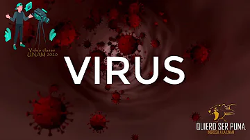 ¿Cuál es su función de los virus?