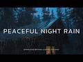 Soothing Rain and Thunderstorm – Heavy Night Rain in the Dark Misty Woods for Sleep &amp; Relaxation