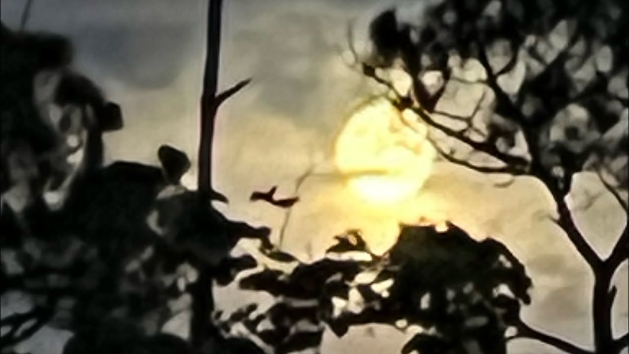 Flooding after Idalia Naples Florida KOA