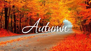 Autumn π ETHEREAL GUITARS by Alexander Nakarada π³π΄ π #autumnleaves #relaxmusic