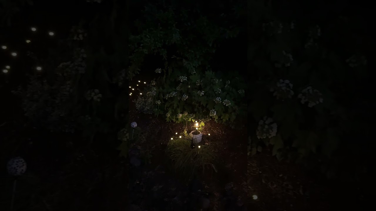 Magical Lil Fairy Lights