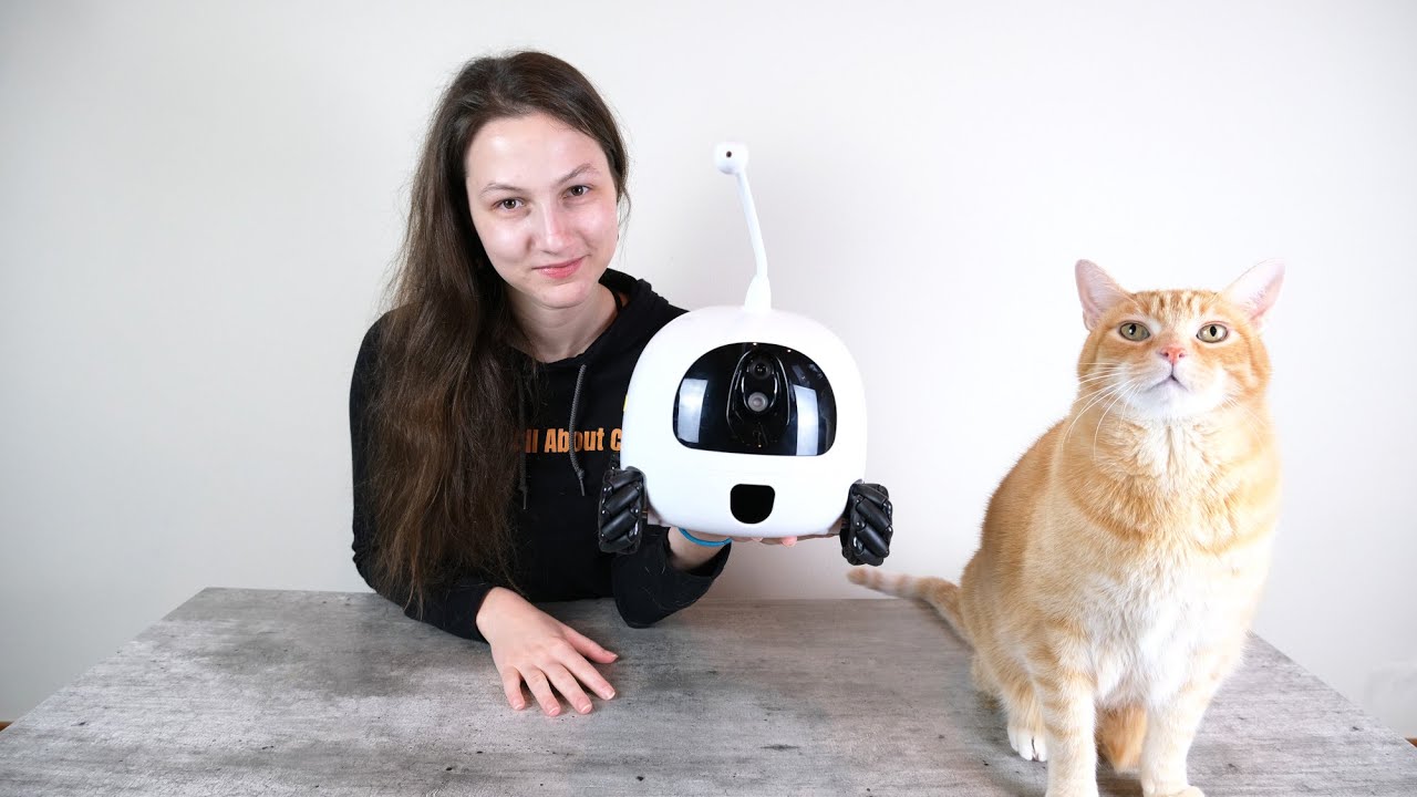 cheap extendable dog leads