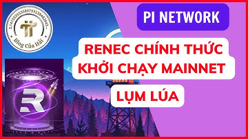 Renec Chính Thức Khởi Chạy Mạng Chính Mainnet l Blog Của Hải