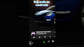 Bug audio USB tesla model Y