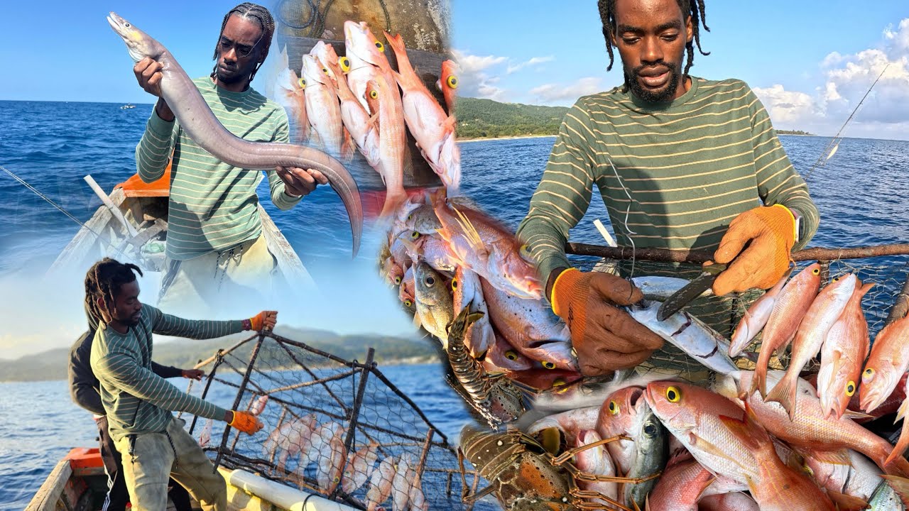 Island Life Fishing! Pulling Fish Pots in Paradise 🌴 - YouTube
