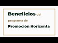 BENEFICIOS DEL PROGRAMA DE PROMOCIÓN HORIZONTAL