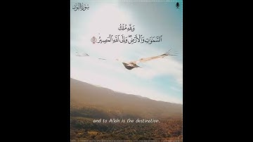 ارح سمعك 🥀 القارئ: سلمان العتيبي🍃  حالات واتس آب لتحميل المقطع تحت في الوصف