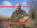 Бешенный клев красноперки