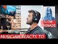 Musician Reacts To: 