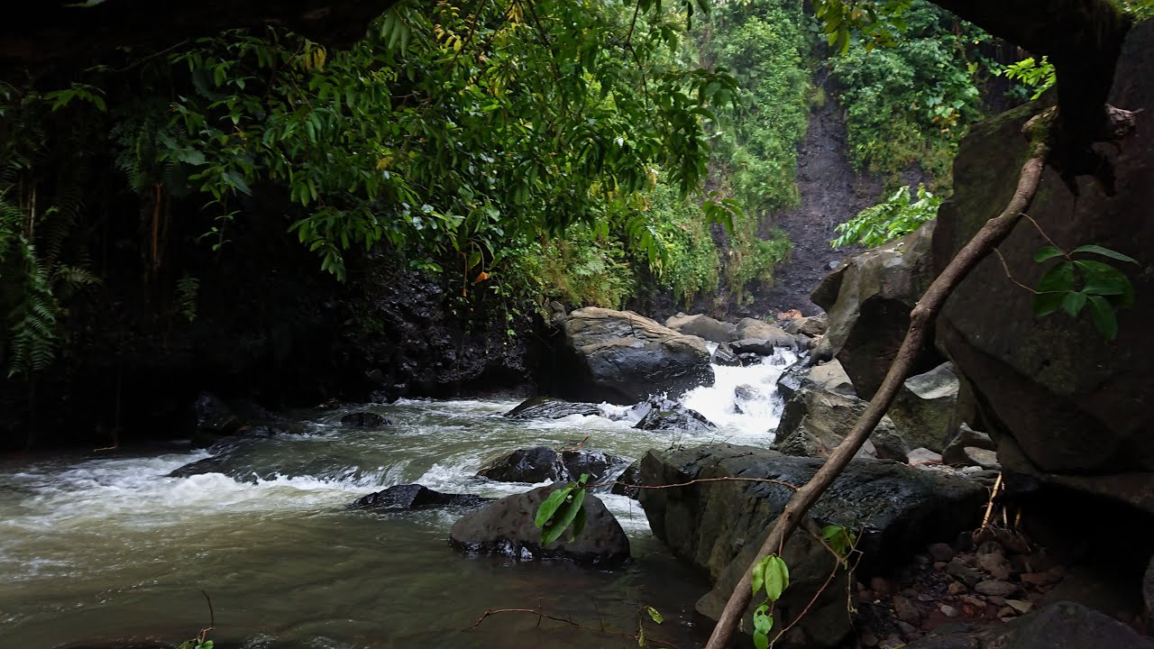 Relaxing River Sounds - Peaceful Forest River - 3 Hours Long - HD 1080p - Nature Video Relaxing River Sounds - Peaceful Forest River - 3 Hours Long - HD 1080p - Nature Video