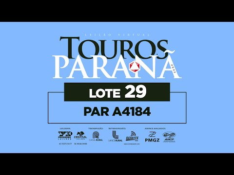 LOTE 29 PAR A4184